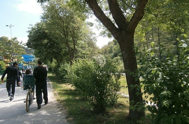 Правят въжен парк в Бачиново