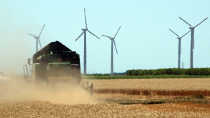 Специалисти очакват добра зърнена реколта въпреки занижените прогнози