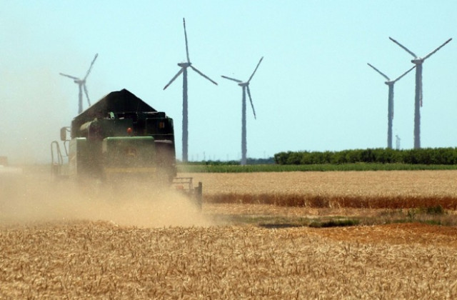 Специалисти очакват добра зърнена реколта въпреки занижените прогнози