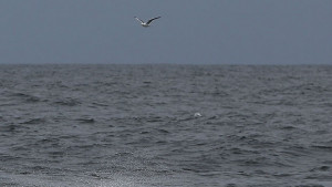 Първият китайски батискаф потегли за експедиция в Тихия океан