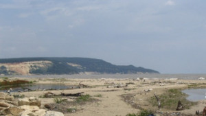 Държавата поема неохраняемите плажове