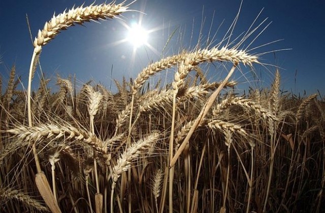 Кабинетът позволил проучвания за въглищен газ