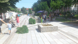 Кълбовидните акации по Търговска осъмнаха прекършени