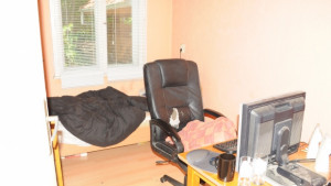 Задържаха британец разпространявал порнографски материали в интернет