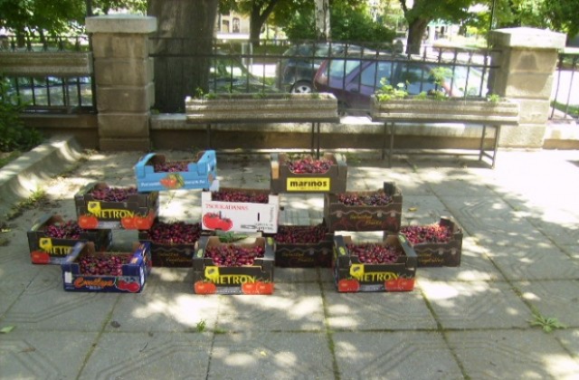 340 кг. на декар е добивът на череши до момента в областта.494 кг. на дка. е целият добив на ягоди