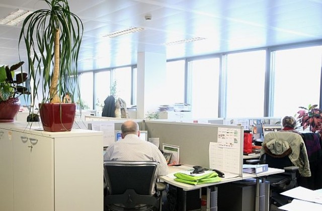 Работодателите предпочитат да наемат младежи със средно образование