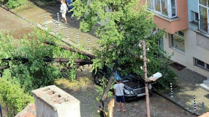 Столични квартали без ток след бурята