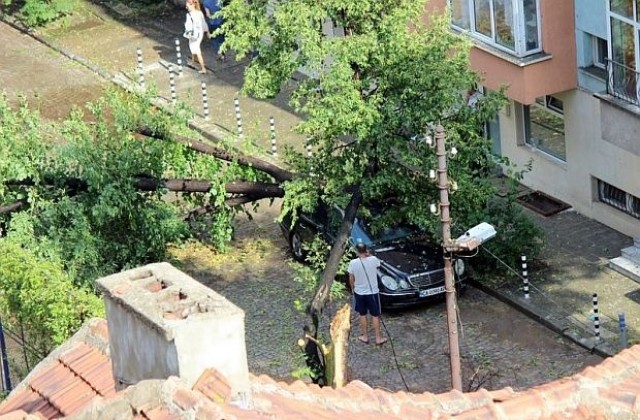 Столични квартали без ток след бурята