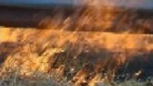 Мерки за пожарната безопасност при прибиране на реколтата