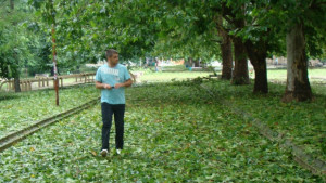 Двама пострадали при градушката в монтанско