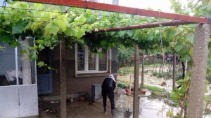 138 семейства в Община В Търново ще получат 90 000