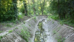 Дере край Виница превърнато в сметище застрашава курорт