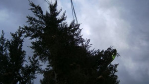 Гръмотевични бури краткотрайни валежи и градушки се очакват днес