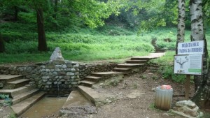 Внимание Водата от две чешми извън Враца не е годна