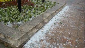 ОБЩИНА ВРАЦА ПРЕДУПРЕЖДАВА ЗА ГРАДУШКИ