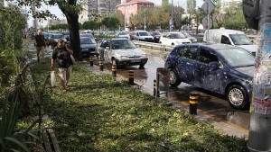 Все още има непочистени улици в столицата след бурята