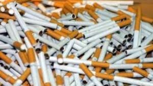 Варна е сред учредителите на Международен алианс на градовете без