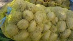 Засадени площи с картофи и тютюн