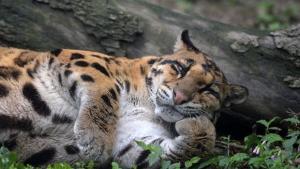 Ферми и зоопаркове вече ще се регистрират онлайн