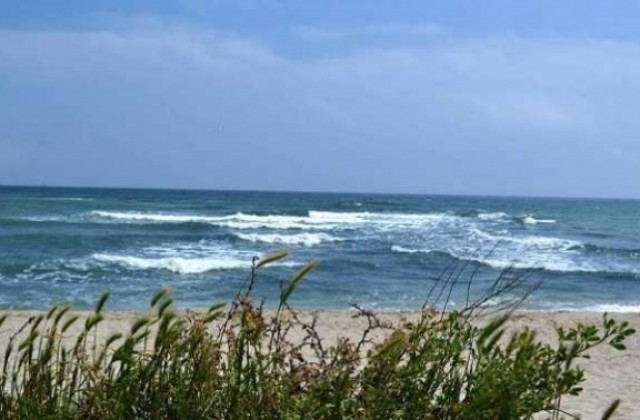 Откриха нарушения на 40 плажа