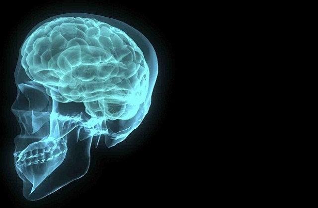 Нов мозъчен протеин е свързан с болестта на Алцхаймер