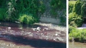 Янтра потече с лилав цвят