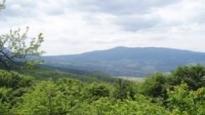 Събор на пенсионерите в местността Три буки