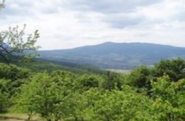 Събор на пенсионерите в местността Три буки