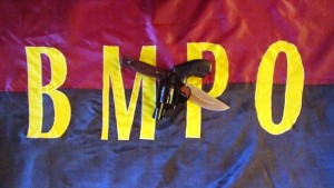 Нови структури на ВМРО в Северозапада