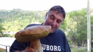 Мъж откри гигантска манатарка в Родопите