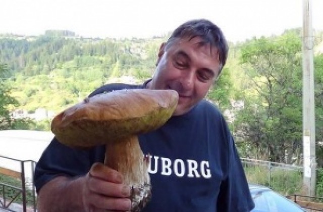 Мъж откри гигантска манатарка в Родопите