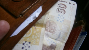 Млада крадла дебне на спирка в Габрово