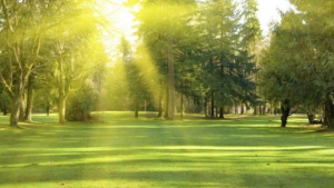 Найпосле лятото загатва за себе си