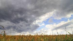 Горещниците тази година не толкова горещи