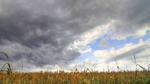 Горещниците тази година не толкова горещи