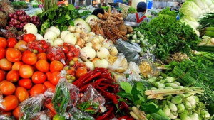 За веганите и био феновете