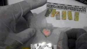 25 са задържаните за притежание на наркотици от началото на