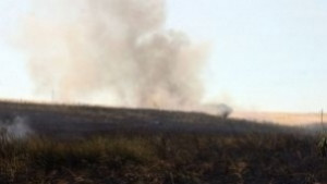 50 дка пшеница изгоряха в село Нова Надежда в Орешник