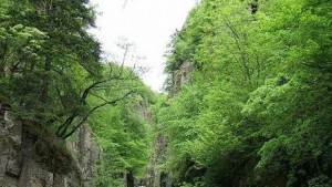Намериха изгубено 18годишно момиче в гората край Девин