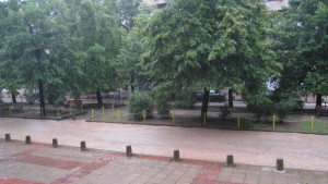 Призив към гражданите на Враца