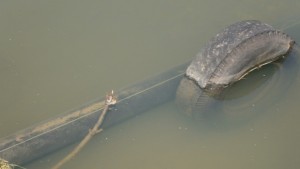 Оголеният газопровод на Янковци не е опасен твърдят от Ситигаз