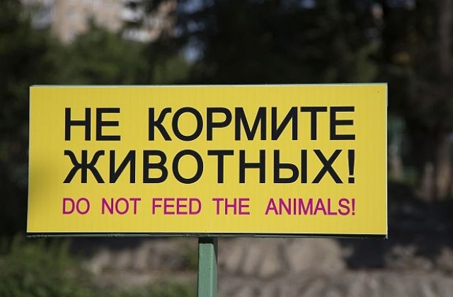 Руските санкции подлагат на диета животните в московския зоопарк