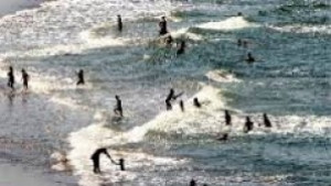 39годишен руски турист се удави на неохраняем плаж в Св