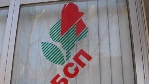 Валя Бонева е новият общински председател на БСП