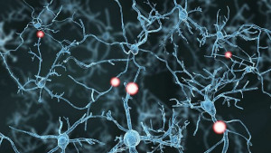 Компютърен чип наподобяващ човешки мозък ще захранва безпилотни апарати