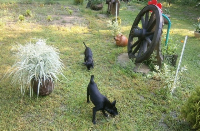 Прогноза за времето на 12 август