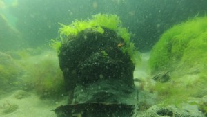 Военни обезвредиха опасна морска мина край Паша дере