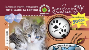 Разградски котки носят печалби от тотото