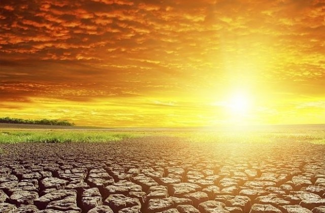 Как да се предпазим от жегата