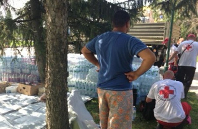 Георгиева: Важна е подготовката на програма за възстановяване и превенция